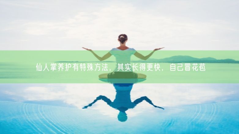 仙人掌养护有特殊方法，其实长得更快，自己冒花苞